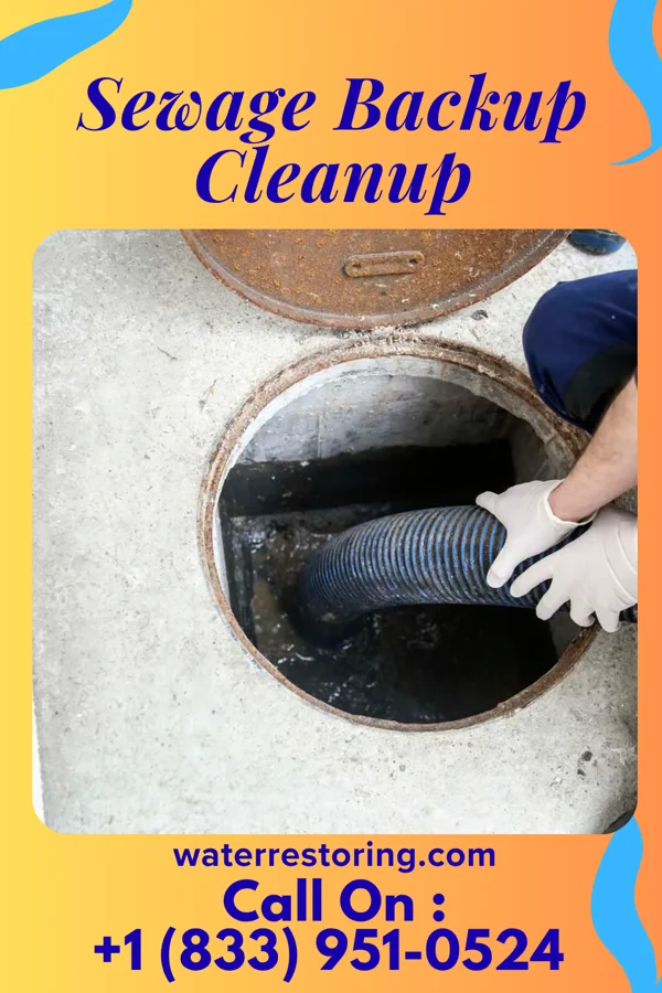 Sewage Backup Cleanup in Mer Rouge, LA