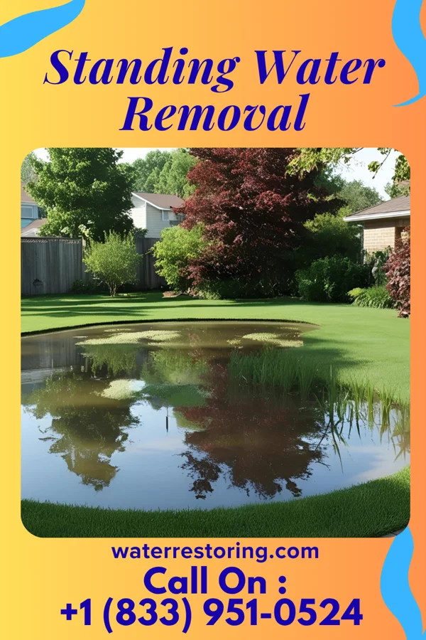 Standing Water Removal in Mer Rouge, LA